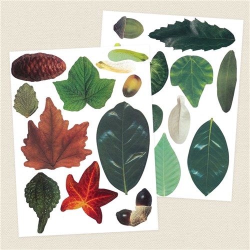 Crafty Leaves - Pack of 266