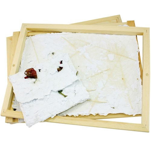 Skeleton Leaves - Natural - Pack of 20