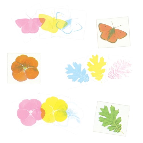 First Look Light Table Kit