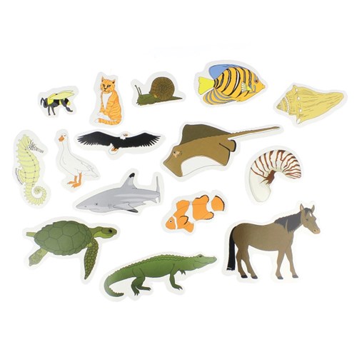 First Look Light Table Kit