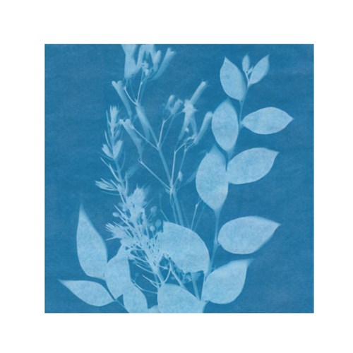 Solar Print Paper - Small - Pack of 12