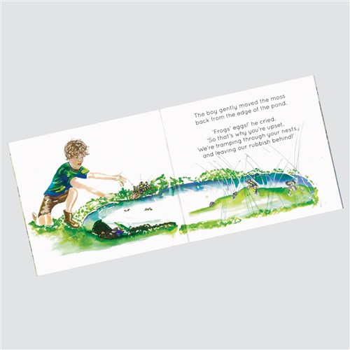 The Little Corroboree Frog - Indigenous Book