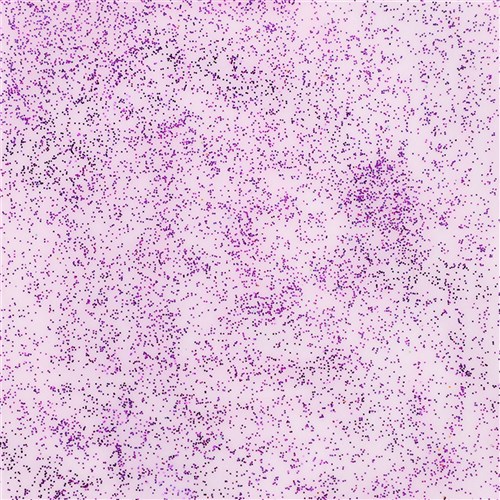 Mont Marte Glitter Paint Tube - Purple - 75ml