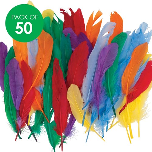 Quill Feathers - Pack of 50