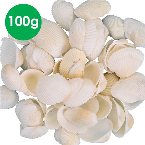 White Clam Shells - 100g Pack