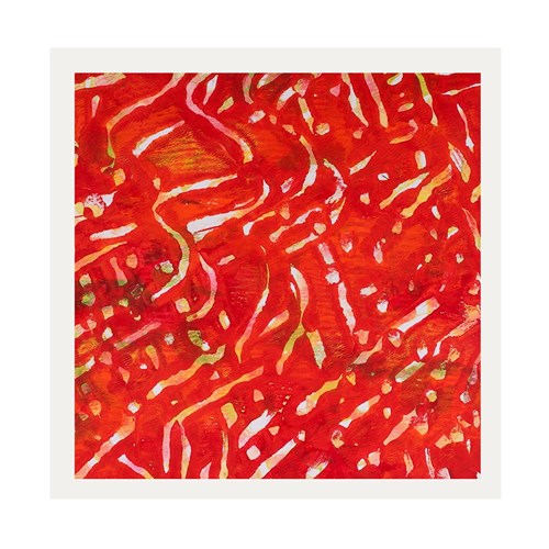 Gelli Printing Plates Classpack - Pack of 10