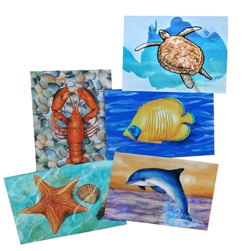 Aquapaint - Ocean Life - Pack of 5