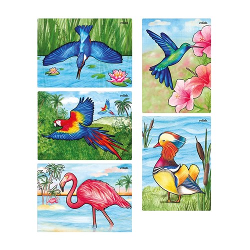 Aquapaint - Magnificent Birds - Pack of 5
