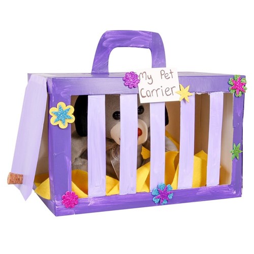 Cleo Stories: A Friend and a Pet Pet Carrier